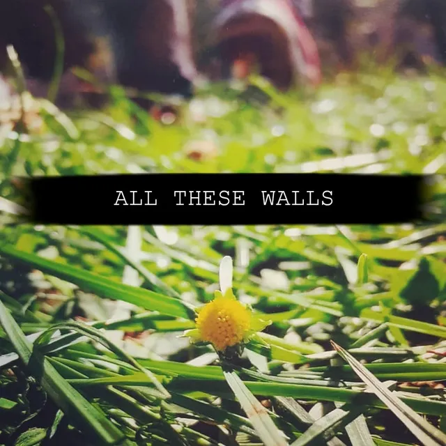 All These Walls