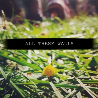 All These Walls by Emma Wrong