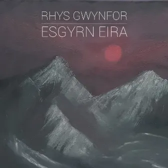 Esgyrn Eira by Rhys Gwynfor