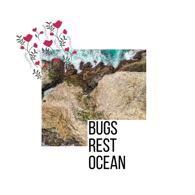 Bugs Rest Ocean