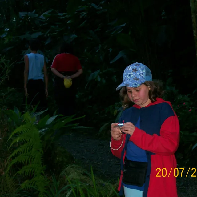 Julia Voltando do Templo, Observando na Câmera as Fotos Que Tirou Naquela Tarde