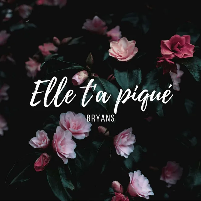 Elle t'a piqué