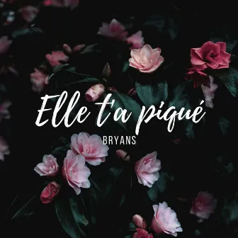 Elle t'a piqué by Bryans