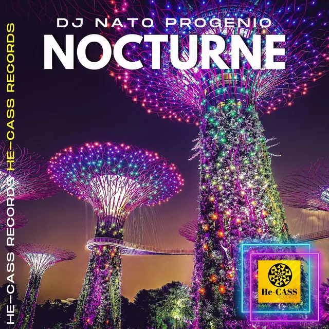 Nocturne - Radio Mix