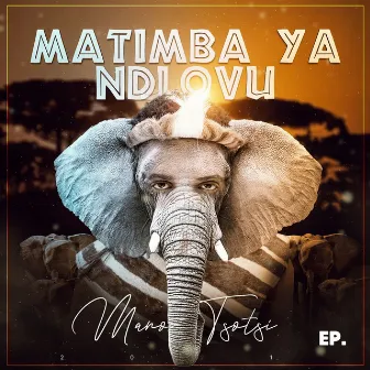 Matimba Ya Ndlovu by Mano Tsotsi