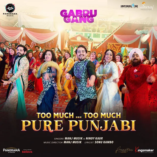 Too Much... Too Much Pure Punjabi - From "Gabru Gang"