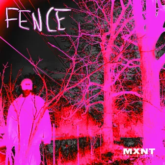 FENCE by Mxnt