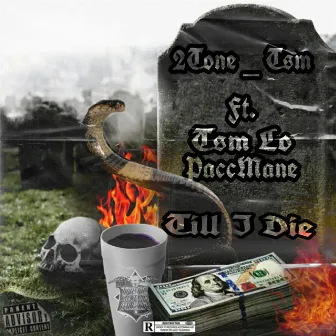 Till I Die by 2tone_tsm