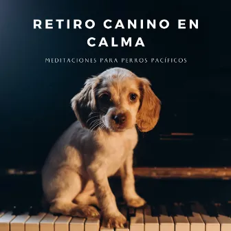 Retiro Canino En Calma: Meditaciones Para Perros Pacíficos by Ogablue