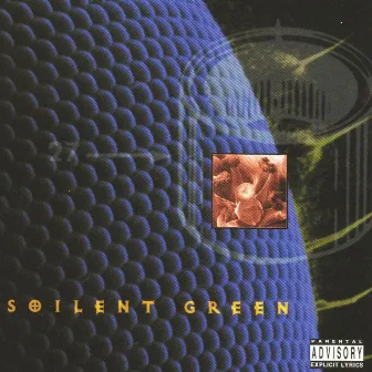 Pussysoul by Soilent Green