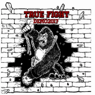 DEMO2017 by TRUE FIGHT