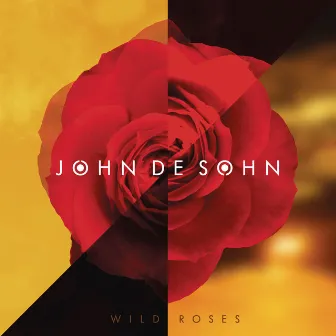 Wild Roses by John De Sohn