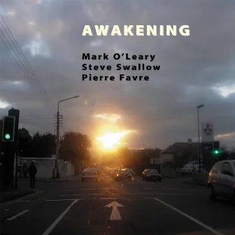 Awakening by Mark O'Leary