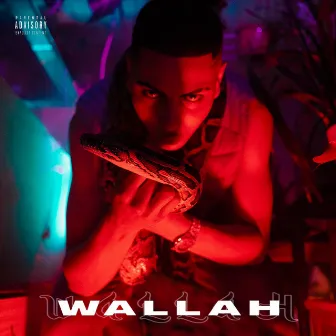 Wallah by Tauro