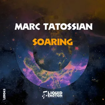 Soaring by Marc Tatossian