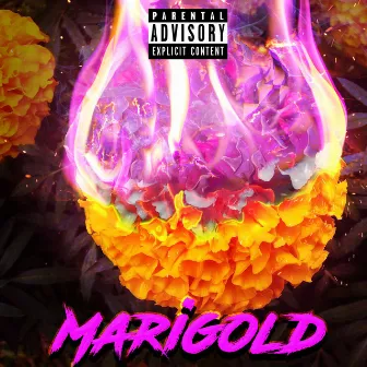 Marigold by Lil Saxton