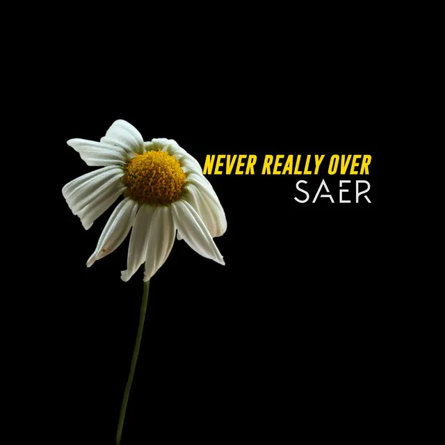 Never Really Over