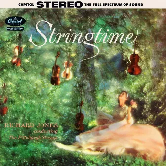 Stringtime by Richard Jones