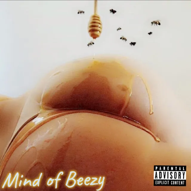 MindOfBeezy