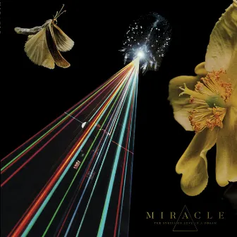 The Strife of Love in a Dream by Miracle