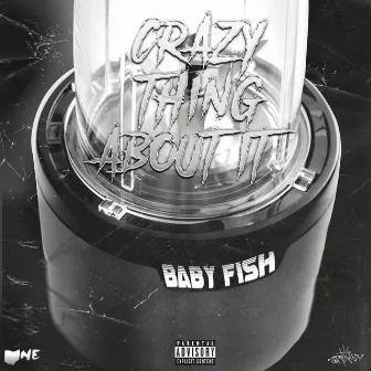 Crazy Thing About It by Baby Fish