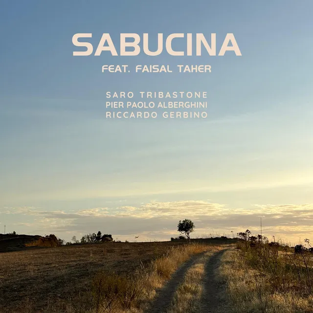 Sabucina