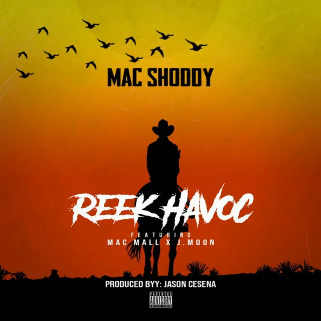 Mac Shoddy