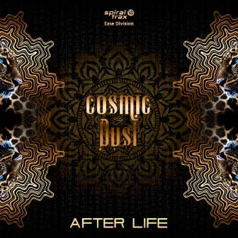 After Life by Cosmic Dust