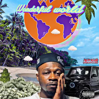 Wonderful World by Eli Mcfly