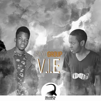 Vie by SaxoGroup