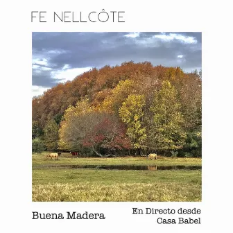 Buena Madera (Live) by Fe Nellcote