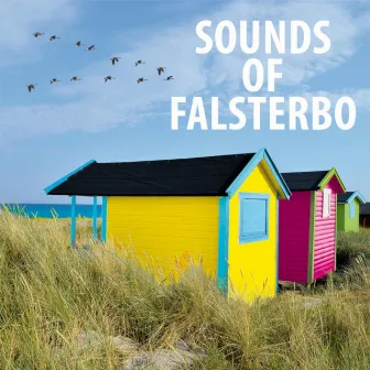 Sounds of Falsterbo by Sounds of Falsterbo