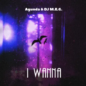 I Wanna by DJ M.E.G.