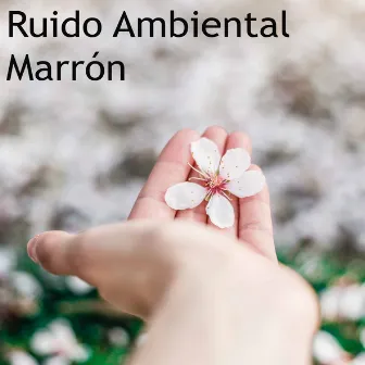 Ruido Ambiental Marrón Para Aislarse Y Relajarse Por Completo by Unknown Artist