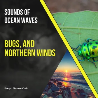 Sounds of Ocean Waves, Bugs, and Northern Winds by Evelyn Nature Club