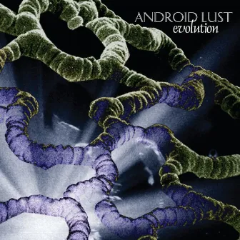 Evolution by Android Lust