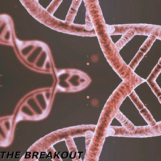 The Breakout - Extended