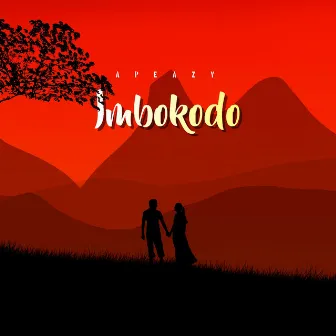 Imbokodo by Apeazy