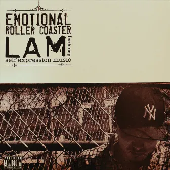 Emotional Roller Coaster by LAM