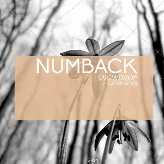 Snowdrop by Numback