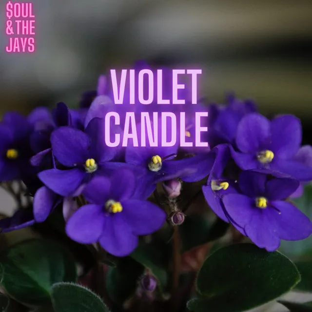 Violet Candle