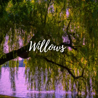 Willows by Bonnie