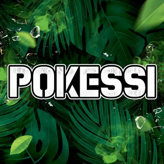 Pokessi 2024 by Pokessi