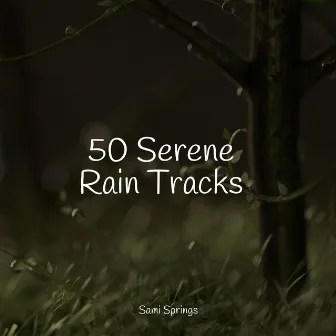 50 Serene Rain Tracks by Rain Sounds Rain