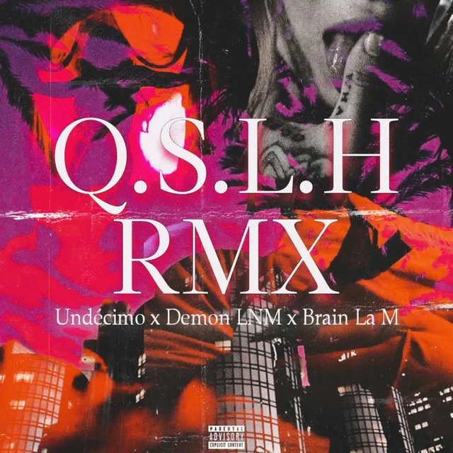 Q.S.L.H RMX