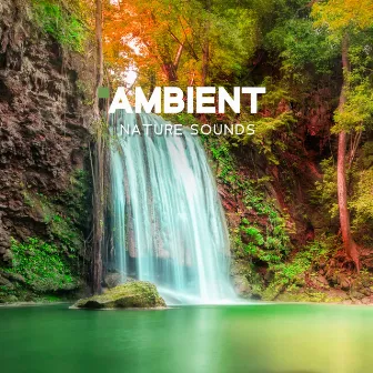 Ambient Nature Sounds - (Sea Music, Power of Water, Rain and Thunderstorm, Flow River, Waterfall & Underwater Ambiance, Birds, Crickets, Forest) by Nature Sounds!