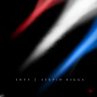 Stupid Nigga by Envy