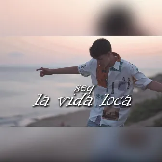 La vida loca by Seq