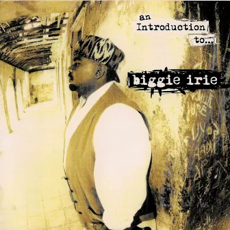 An Introduction To…biggie Irie by Biggie Irie