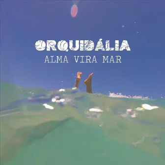 Alma Vira Mar by Orquidália